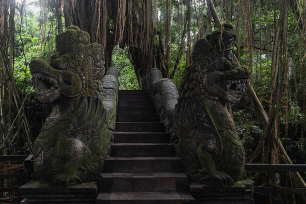 istock Monkey Forest in Ubud, Bali - a lush jungle sanctuary where playful monkeys roam freely 2156048455
