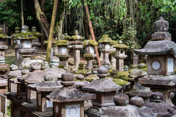 istock Large moss-covered stones in the park landscape. 2156048849