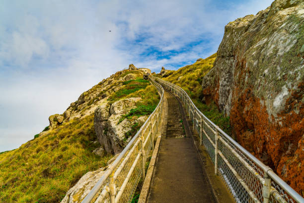 Stairway at Point Reyes Lighthouse - Inverness, CA