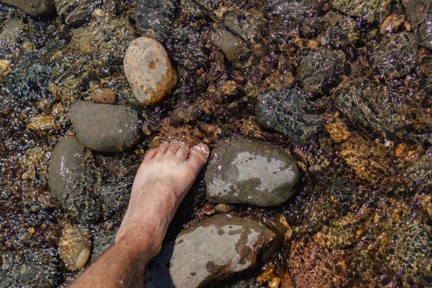 A top view of a person's foot standing on rocks in a stream