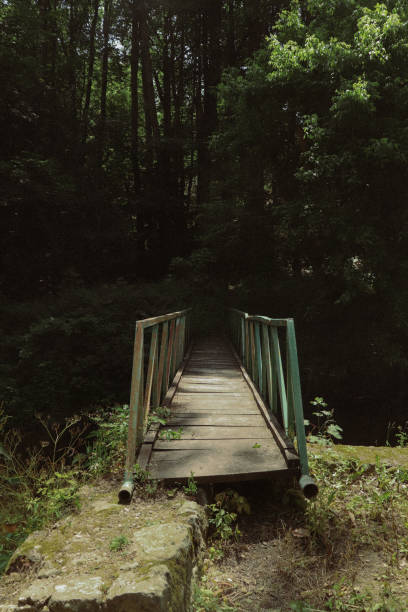 istock a small bridge leading to the water and trees on either side 2156052632
