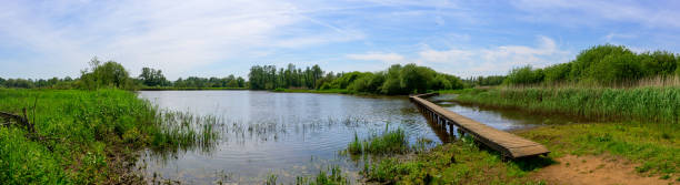 istock Wooden pier extends into a serene lake surrounded by lush forest 2156053525