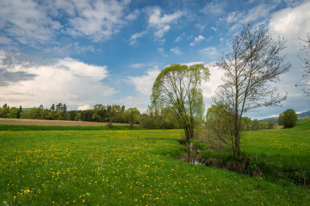 istock Spacious rural farm field on a sunny day 2156054649