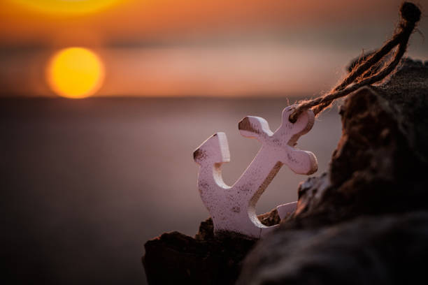 A wooden and white anchor resting on a log by the beach