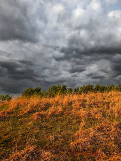 istock With trees, yellowing grass, and stormy skies with trees moving with the wind 2156057334