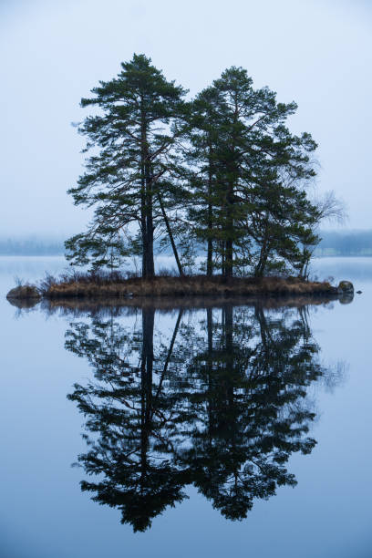 istock a lake with several trees in the middle of it, 2156059305