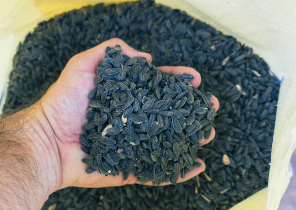 istock Hand presenting sunflower seeds from a grocery sack 2156059715