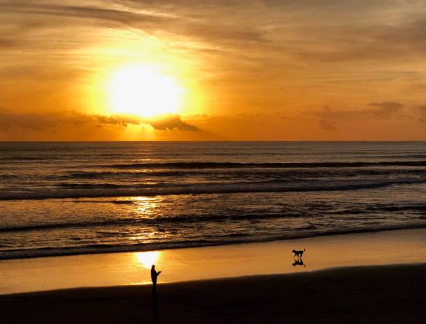 istock Silhouetted man and dog strolling on the beach as waves approach during sunset 2156061016
