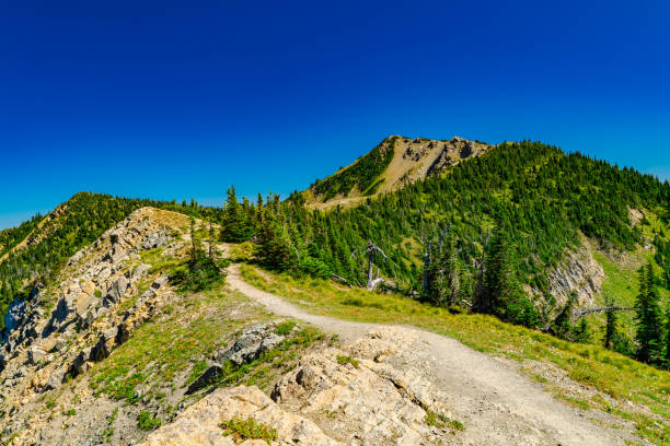 A scenic dirt path along rocky mountain slope