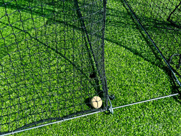Sports Nets and Ball on Green Turf