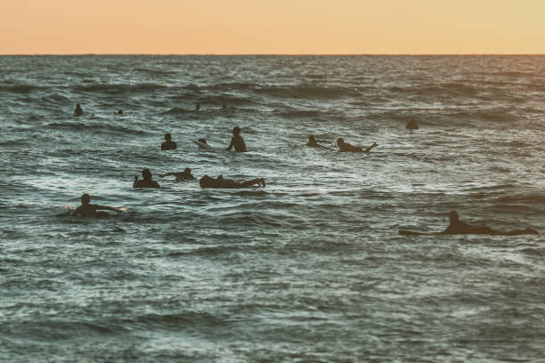Surfing themed photograph exotic and relaxed atmosphere