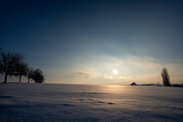 Sunrise over snowy field viewed through trees