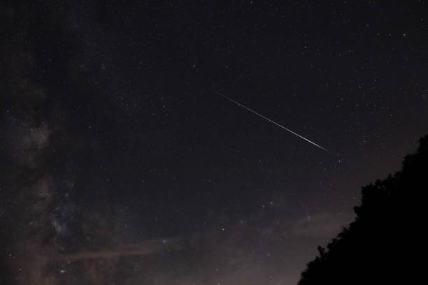 istock Shooting star, Milky way and tree silhouettes. 2156064305