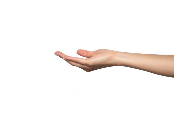 istock A woman's hand is open, palm up, to take or give something 2156064335