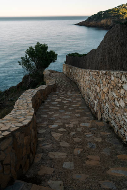 istock pathway up to cliff side with ocean in the background in front 2156064431