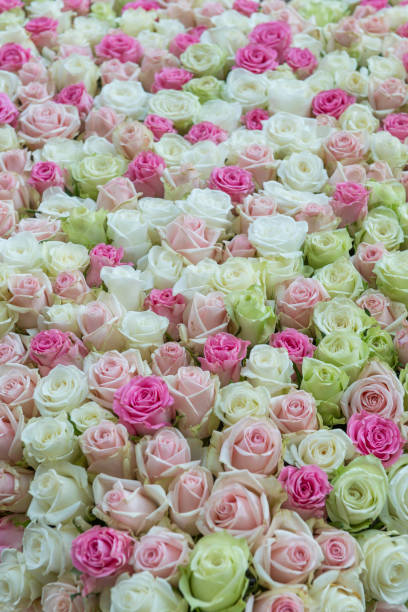 istock Bunch of roses on a wooden table 2156065683