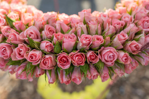 A pink rose bucket with fresh green stems