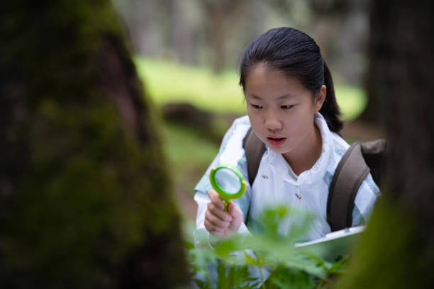 Asian junior high school students observing plant growth in the forest