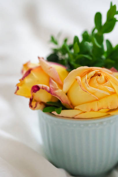 A light blue bowl with a single flower and green grass