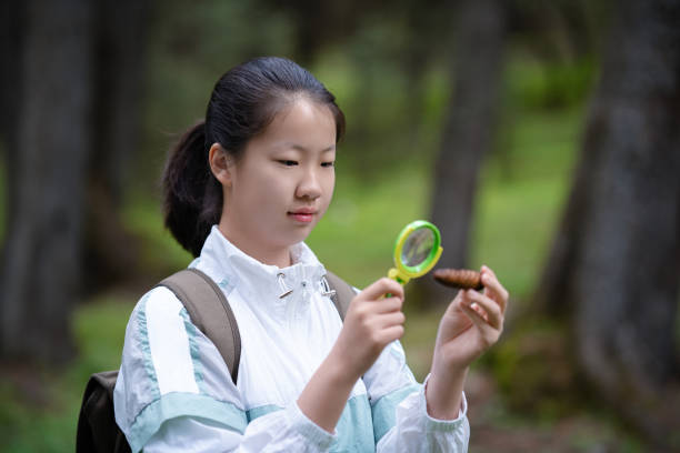 Asian junior high school students observing plant growth in the forest