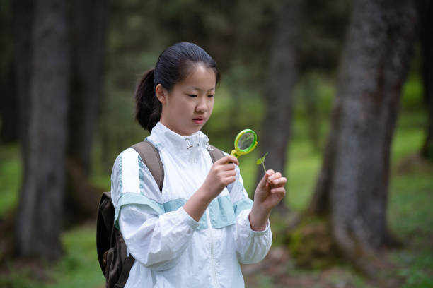 Asian junior high school students observing plant growth in the forest