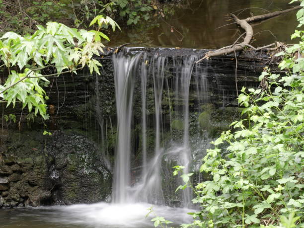 istock Picturesque waterfall cascading beneath lush trees next to a serene river 2156067347