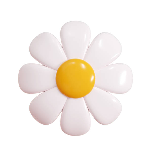 Daisy plastic flower cartoon icon 3d render illustration.