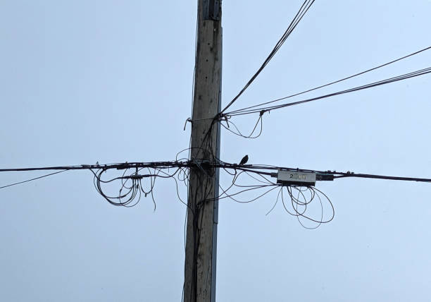 istock Lone Crow Observes from a Power Line in Canada 2156068469