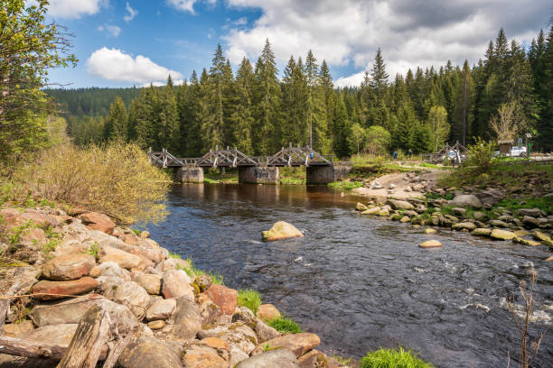 istock River flowing through dense green forest next to woodland area 2156068515