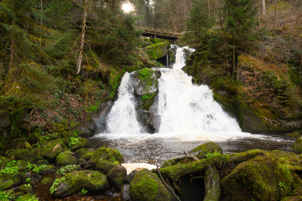 istock Triberg waterfall in the Black Forest, highest fall in Germany, Gutach river plunges over seven major steps into the valley, wooden bridge 2156071380