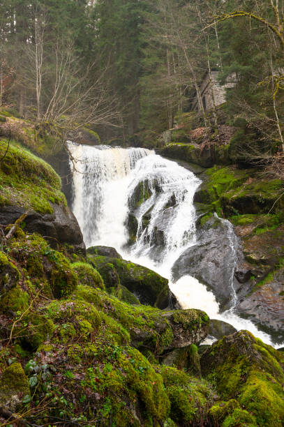 istock Triberg waterfall in the Black Forest, highest fall in Germany, Gutach river plunges over seven major steps into the valley, wooden bridge 2156071501