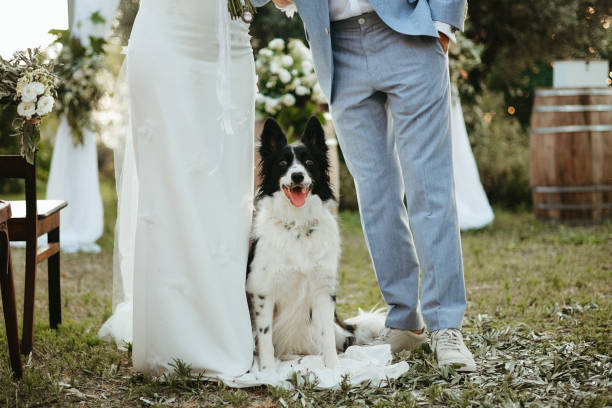 istock Bride and groom wedding with dog 2156071984