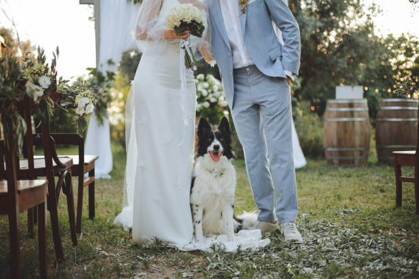 istock Bride and groom wedding with dog 2156072030