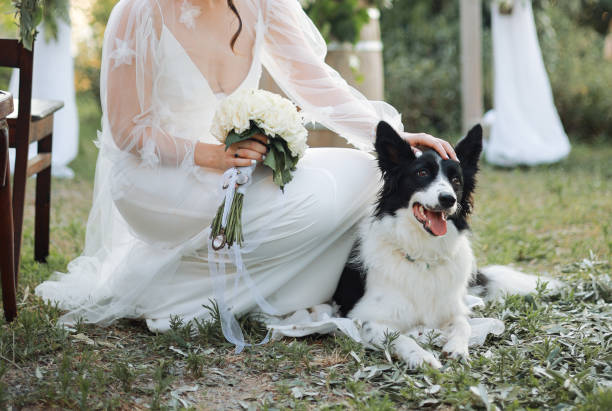 istock Bride and groom wedding with dog 2156072043