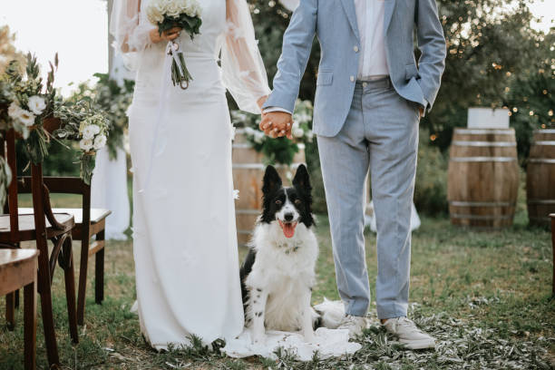istock Bride and groom wedding with dog 2156072060