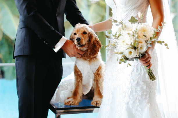 istock Bride and groom wedding with dog 2156072077