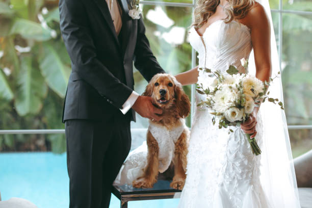 istock Bride and groom wedding with dog 2156072085