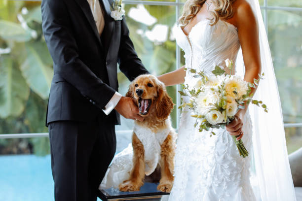 istock Bride and groom wedding with dog 2156072096