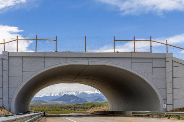 Beautiful Mountain Landscape with a road and bridge