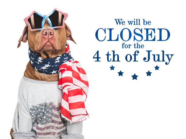 istock Signboard with the inscription We will be closed 2156076717