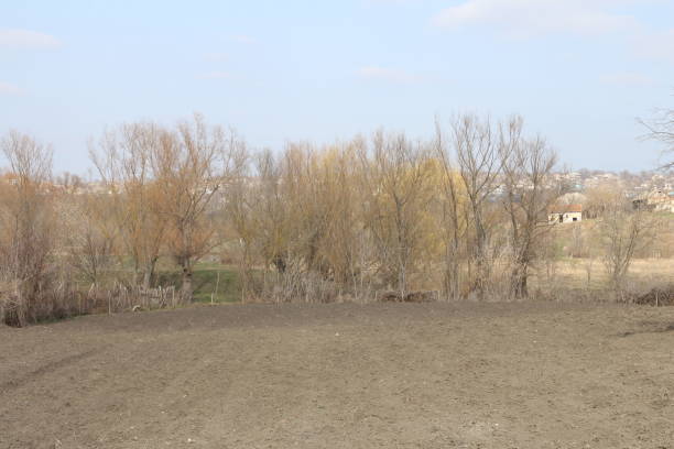 istock A dirt field with trees and houses 2156078970