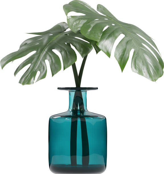 Side view of blue glass vase with Monstera leafs