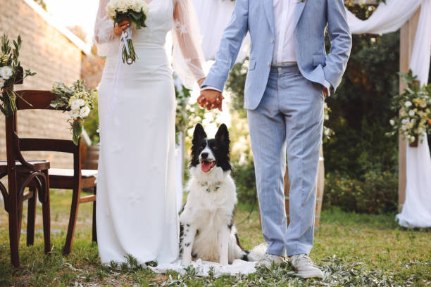 istock Bride and groom wedding with dog 2156079626
