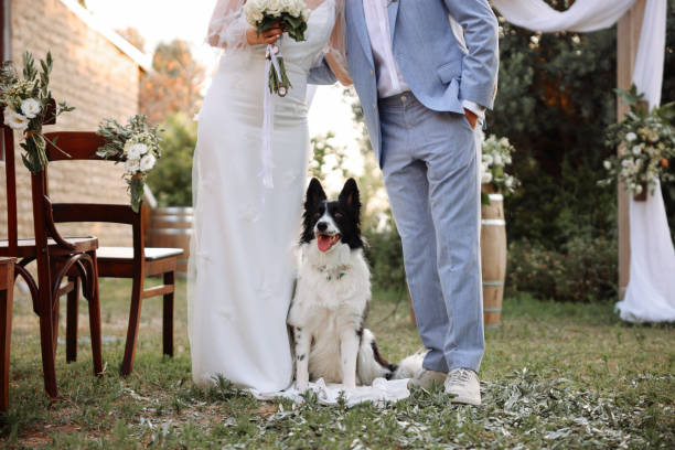 istock Bride and groom wedding with dog 2156079653