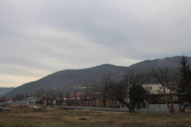 istock A road with trees and buildings in the background 2156079797