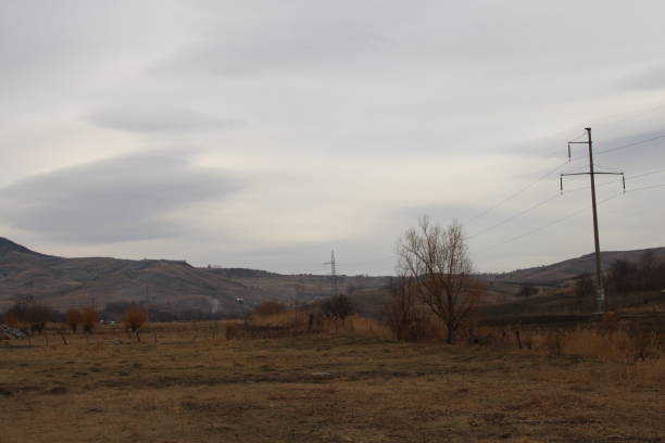istock A field with power lines and trees 2156079837