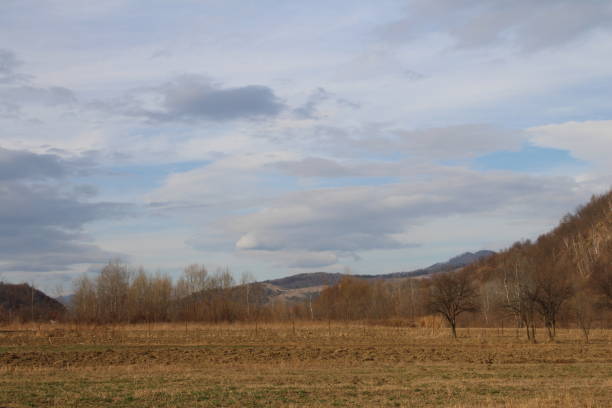 A field with trees and mountains in the background. Outdoor. Grass. Sky. Field. Open