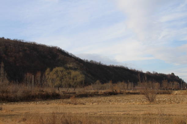 istock A field with trees and hills in the background 2156080594