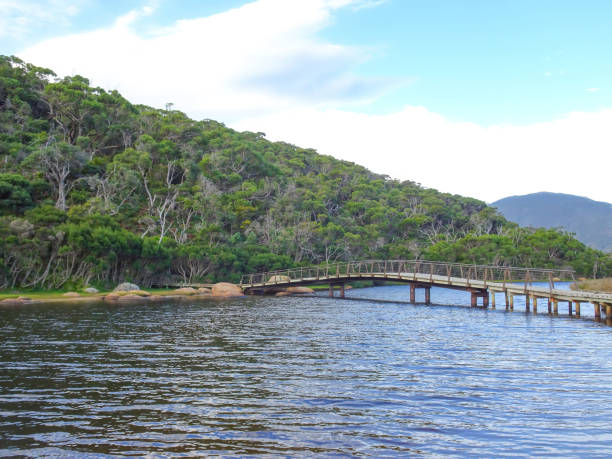 istock Footbridge at Tidal River, Wilsons promontory 2156084050