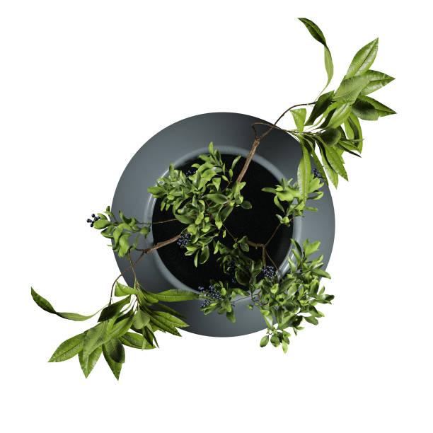 Floral design or flower arrangement is the art of using plant material and flowers to create an eye-catching and balanced composition or display. Evidence of refined floral design is found as far back as the culture of ancient Egypt.